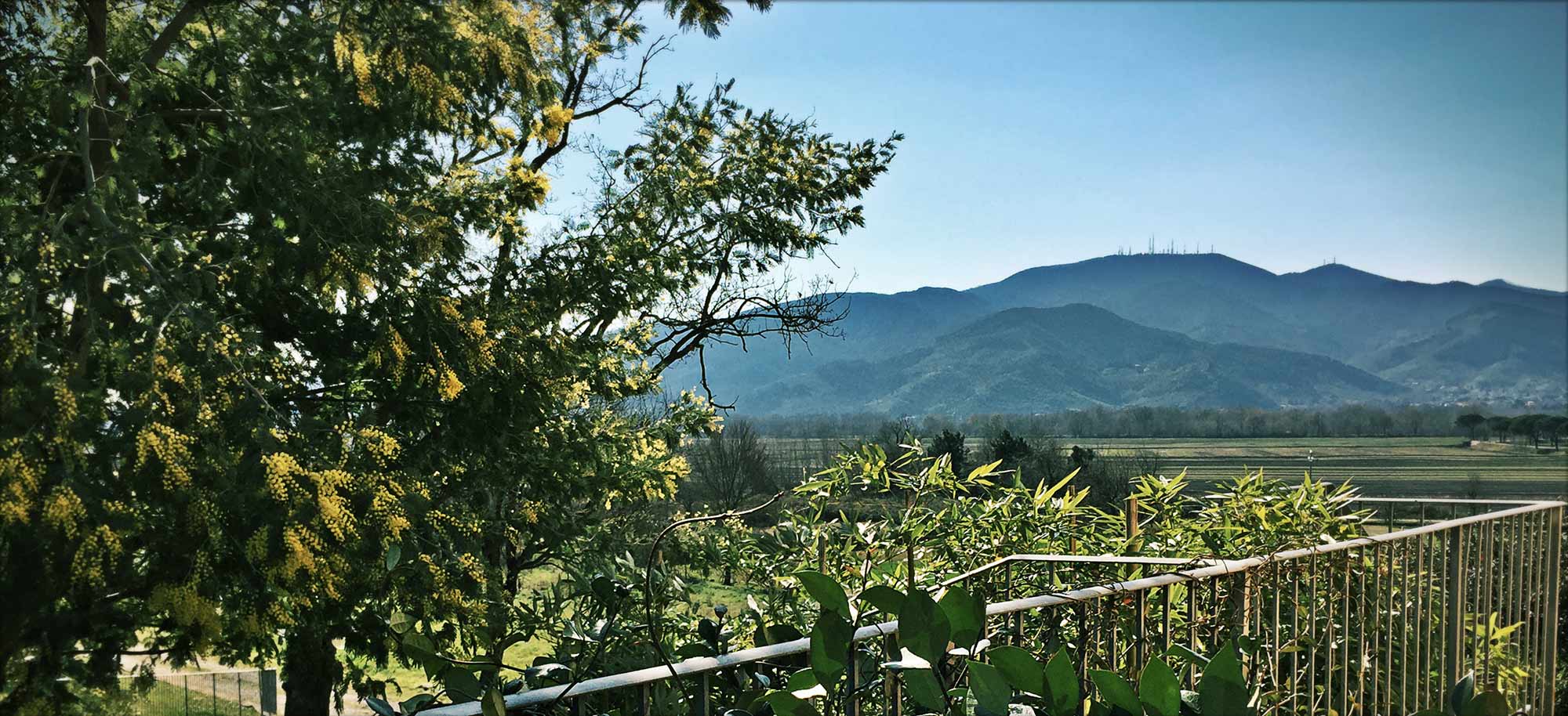 Corte Tommasi - Ferienwohnungen - Toskana Ferienwohnungen - Italien