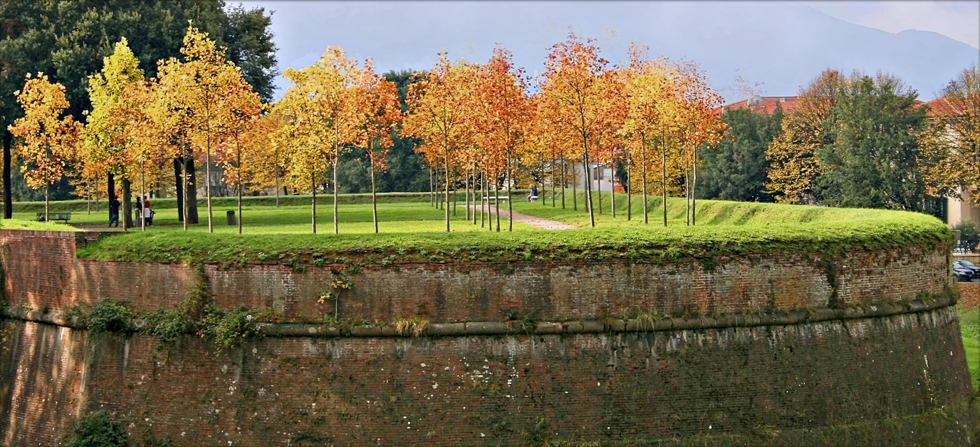 Corte Tommasi - Lucca - Omgeving Toscane appartementen