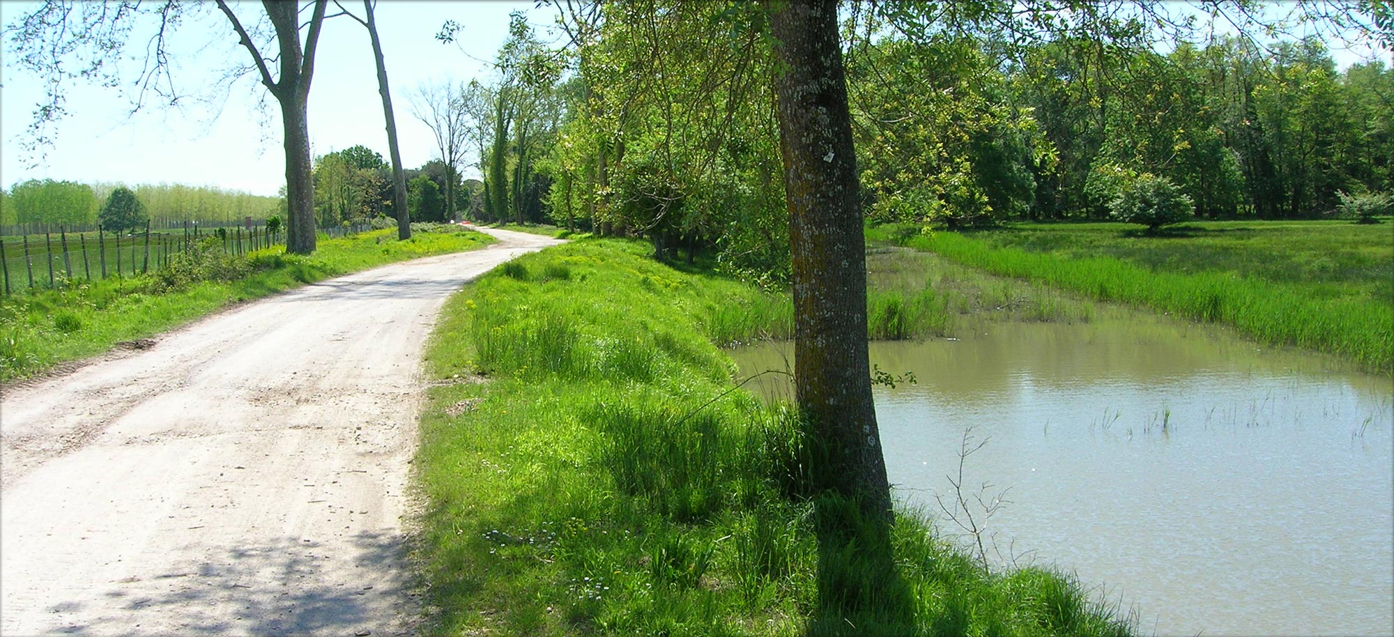 Corte Tommasi - Regional natural park of Migliarino - San Rossore - Massaciuccoli - Surroundings Tuscany apartments