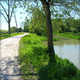 Corte Tommasi - Regionaal natuurpark van Migliarino - San Rossore - Massaciuccoli - Omgeving Toscane appartementen